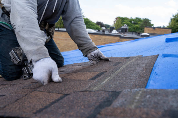 Best Roof Gutter Cleaning  in East Ridge, TN