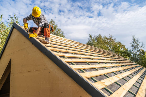 Best Gutter Installation and Roofing  in East Ridge, TN
