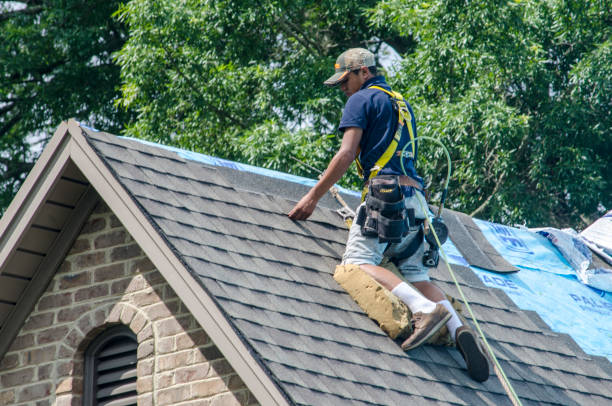 Roof Gutter Cleaning in East Ridge, TN